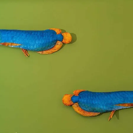 Bb Ogliastroom בית הארחה Tortolì
